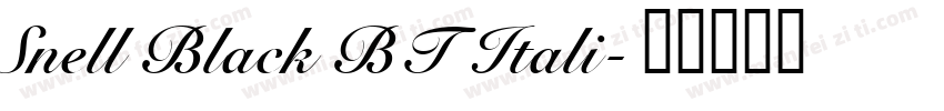 Snell Black BT Itali字体转换